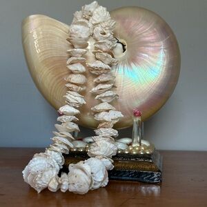 Ocean Surf Limpet Shell Lei